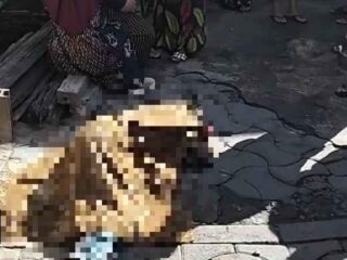 DIDUGA TERKAIT KASUS ASMARA, SIDOTOPO GG 2 DI  HEBOHKAN ADANYA SALAH SATU PRIA DI TEMUKAN TEWAS  DENGAN LUKA BACOK DI TUBUHNYA